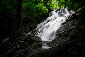 Fototapeta premium Longexpousure of the waterfall in Costa Rica