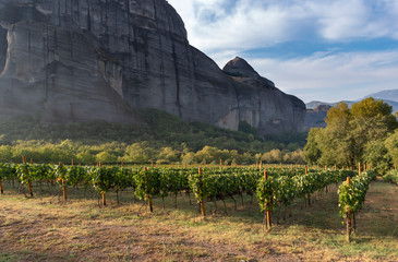 Beautiful view of the vineyards in Meteora, Greece. Meteors are a unique, phenomenal geological...