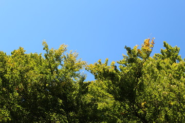 Herbst 20