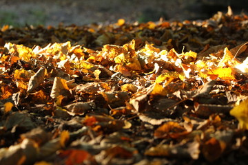 Herbst 17