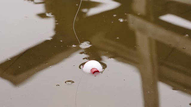 Fishing float on the waves in the pond close up.   Angling tackle with a bobber