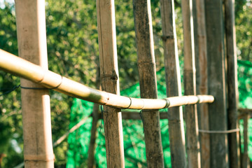 The house is constructed with steel structure and not various bamboo.