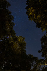 céu estrelado na natureza