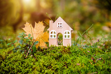 Autumn background-the symbol of the house stands on green moss