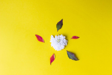 Creative flat lay autumn composition with autumn leaves and flower. Yellow paper background. Copy space. Top view.