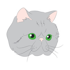 cat portrait, vector, white background