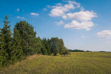 Glazowisko Bachanowo - meadow covered with boulders in Suwalski landscape park, Podlaskie, Poland