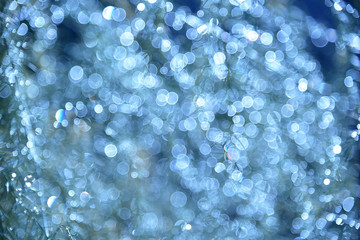 Abstract natural background with beautiful bokeh light effect. photo taken with a light filter.