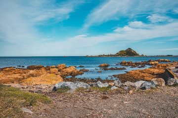 Country side of Wellington, New Zealand