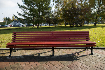 Park Bench in the Morning Light