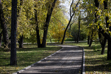 beautiful morning light in public park with green grass field