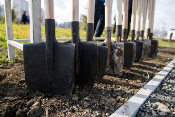 shovels stand in a row, tree planting