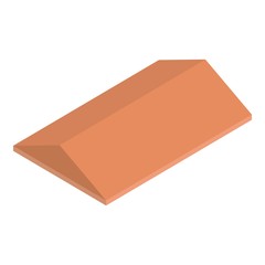 Brown house roof icon. Isometric of brown house roof vector icon for web design isolated on white background