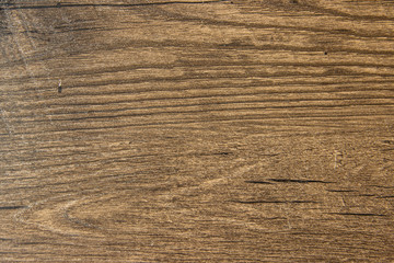 Background texture tree bark brown