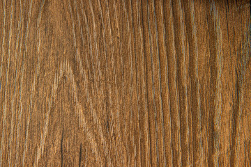 Background texture tree bark brown