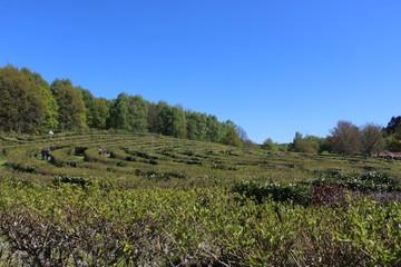 Labyrinthe Gu&eacute;ret