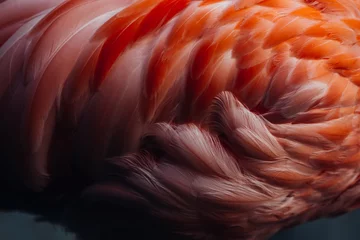 Gardinen Beautiful close-up of the feathers of a pink flamingo bird. Creative background. © belyaaa