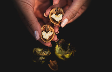 hands holding a walnut 