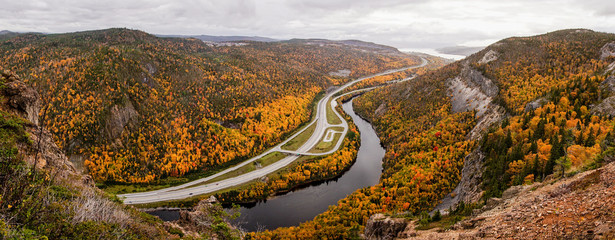 Yellow, Orange and Red trees in a forest during Autumn / Fall Season in Corner Brook, Newfoundland,...
