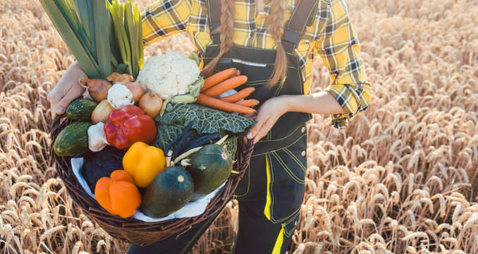 Woman carrying basket with healthy and locally produced vegetables