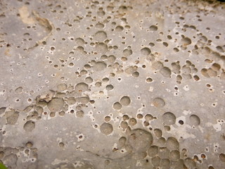 rain drops on concrete
