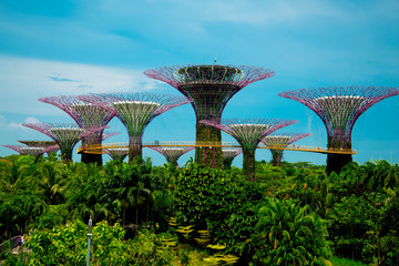 Gardens by the Bay - Singapore