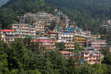 Fototapeta premium Colorful houses and a green pine forest in Himalaya mountains in Dharamsala, India