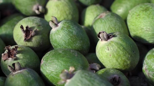 many feijoa fruits as background
