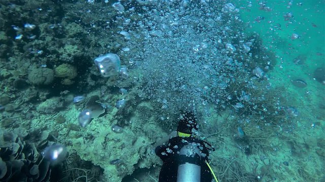 Coral Reef Scuba Diver Swims Through Released Bubbles From Another Tank in Siargao, Philippines
