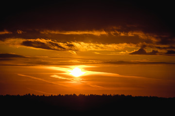 Morning summer foggy dawn in the field. Summer landscape. The sun is waking up. The sky and the sun. Golden sky. The lights of a sun. Golden dawn.