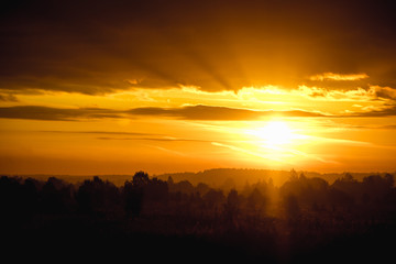 Morning summer foggy dawn in the field. Summer landscape. The sun is waking up. The sky and the sun. Golden sky. The lights of a sun. Golden dawn.