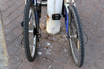 Wheel - a disk that rotates freely on the axis, allowing the body placed on it to roll