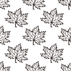 Seamless Pattern with Hand Drawn Maple Leaves