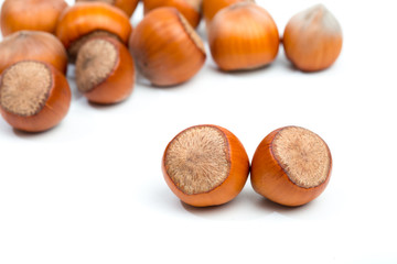 Hazelnuts isolated on white background - Image