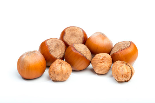 Hazelnuts isolated on white background - Image