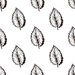 Seamless Pattern with Hand Drawn Elm Leaves