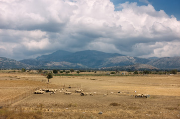 Obraz premium Spectacular view of Lassithi plateau