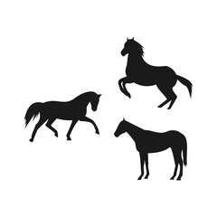 Fototapeta na wymiar horse logo template design creative idea,illustration