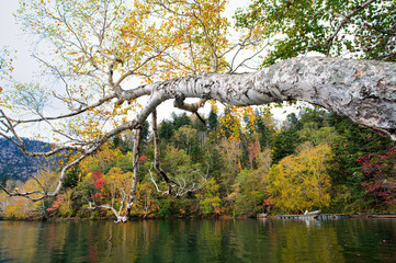 秋の然別湖