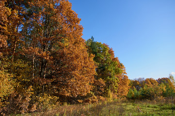 Autumn landscape in fine weather of the southeast of the Moscow region