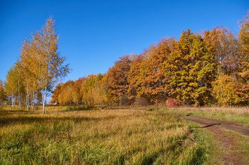 Autumn landscape in fine weather of the southeast of the Moscow region