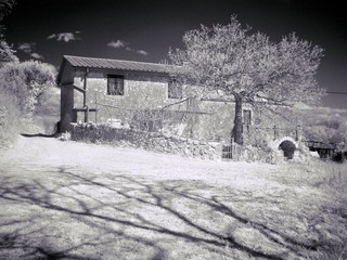 Obraz premium OLYMPUS DIGITAL CAMERA