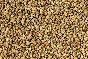 Dry cannabis hemp seeds background
