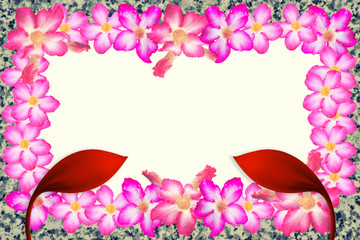 Pink and red  flower border   abstract   spring ,nature   background
