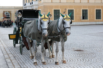 Naklejka na ściany i meble VIENNA, AUSTRIA - 22-10-2018: Horse - drawn carriage or Fiaker, popular tourist attraction, on Michaelerplatz and Hofburg Palace.