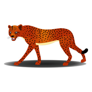 Angry Cheetah - Cartoon Vector Image
