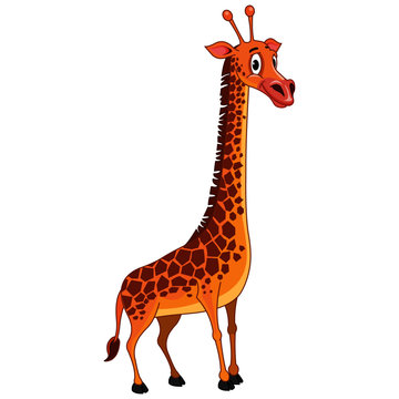 Baby Giraffe - Cartoon Vector Image