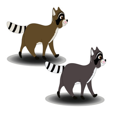 Baby Raccoons - Cartoon Vector Image