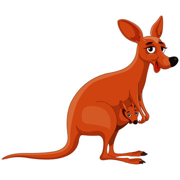Kangaroo with Joey - Cartoon Vector Image
