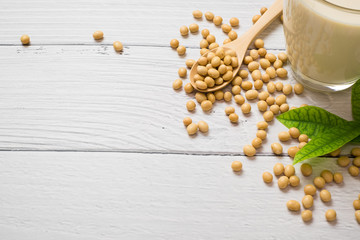 Soy milk and soy bean it on white table background,healthy concept. Benefits of Soy.